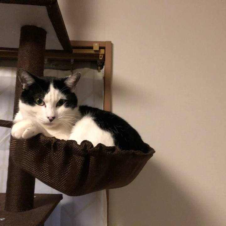 B618427c 4b4f 49f4 a7f7 dce7bcf4732f 1549788034757