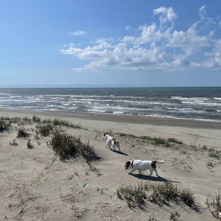 B618a2c4 7a82 43fb ae70 f9daf258e069 1746601501287