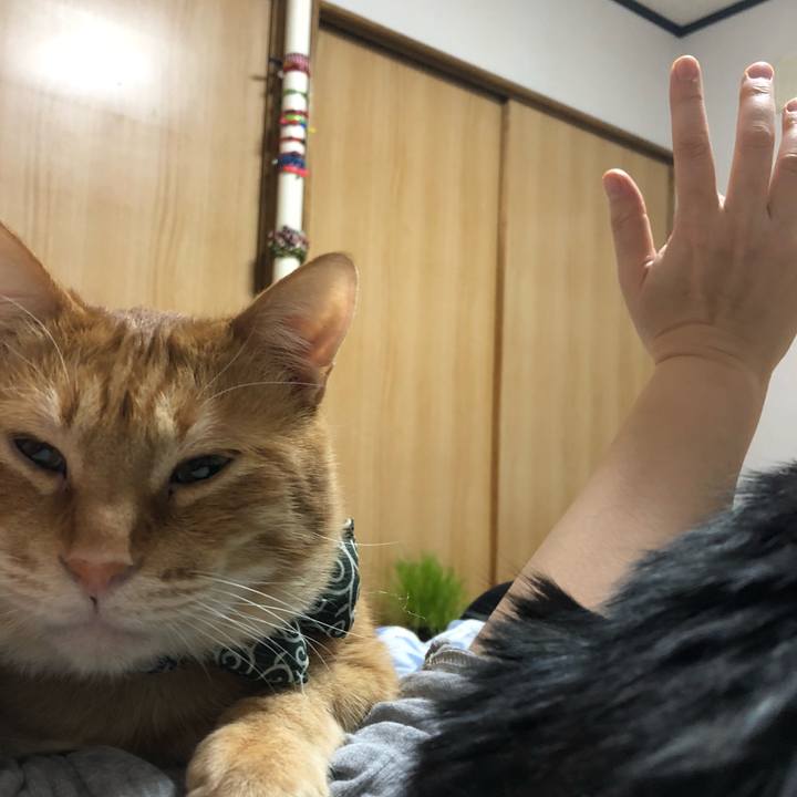 B618c5d8 97c1 4b93 81bb 1f1d23aad94c 1582433911010