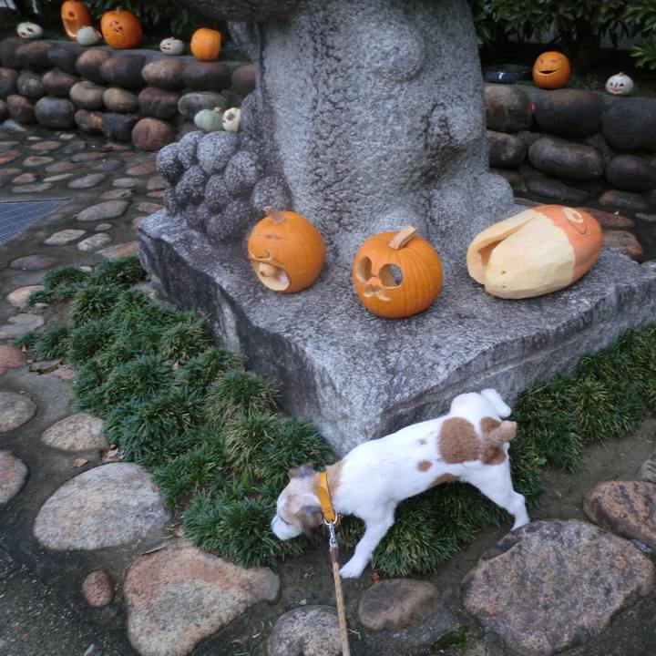 B618c5db 1dcb 4c64 bc37 e44115b93858 1572436167390