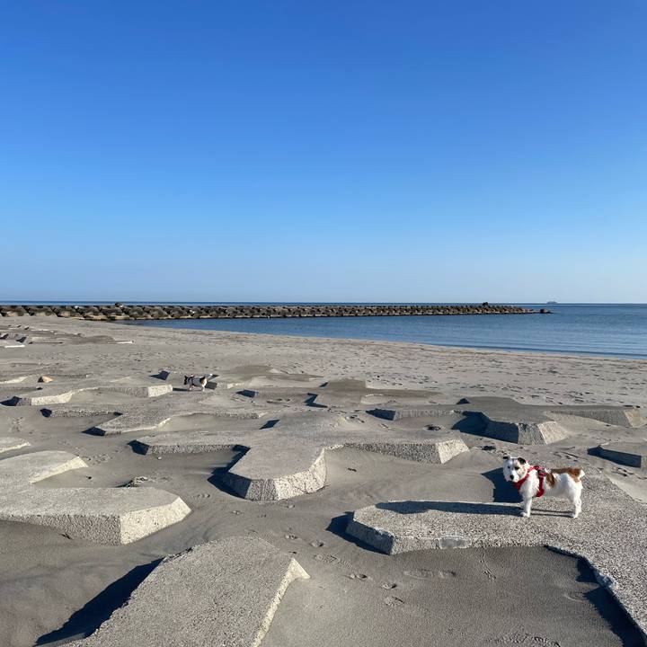 B618df94 07c2 43f9 ab3f 1c95ffd96411 1680132786643