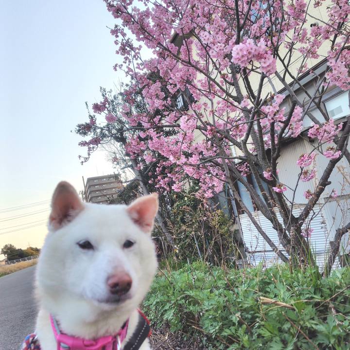 B618e4f8 455d 4015 a533 2c2b9fb655fe 1744191013880