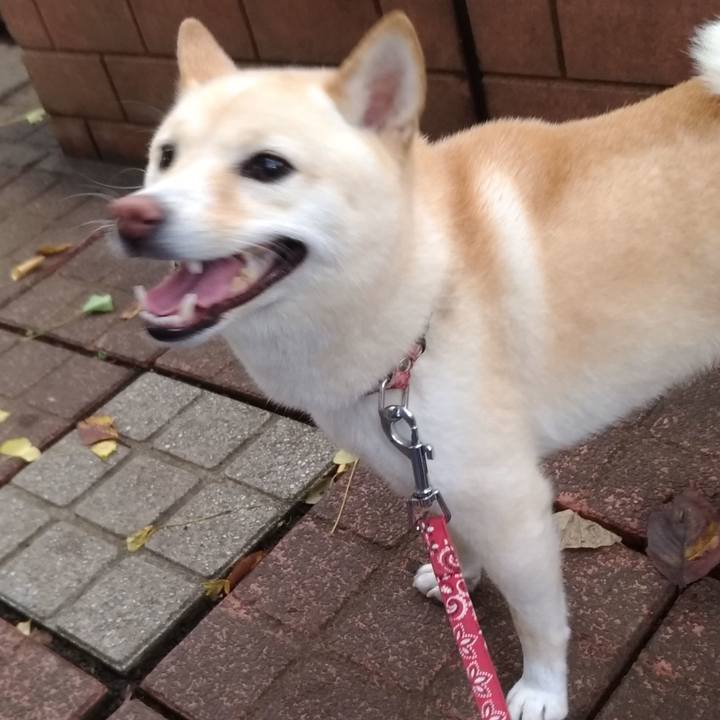 B6192dd6 f76f 4d55 8919 9ca553c87ad8 1567152032386