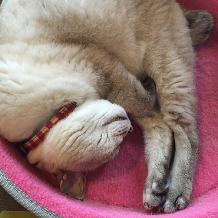 B6193101 f89f 4bb8 9460 ecb667e1c1df 1535584447073