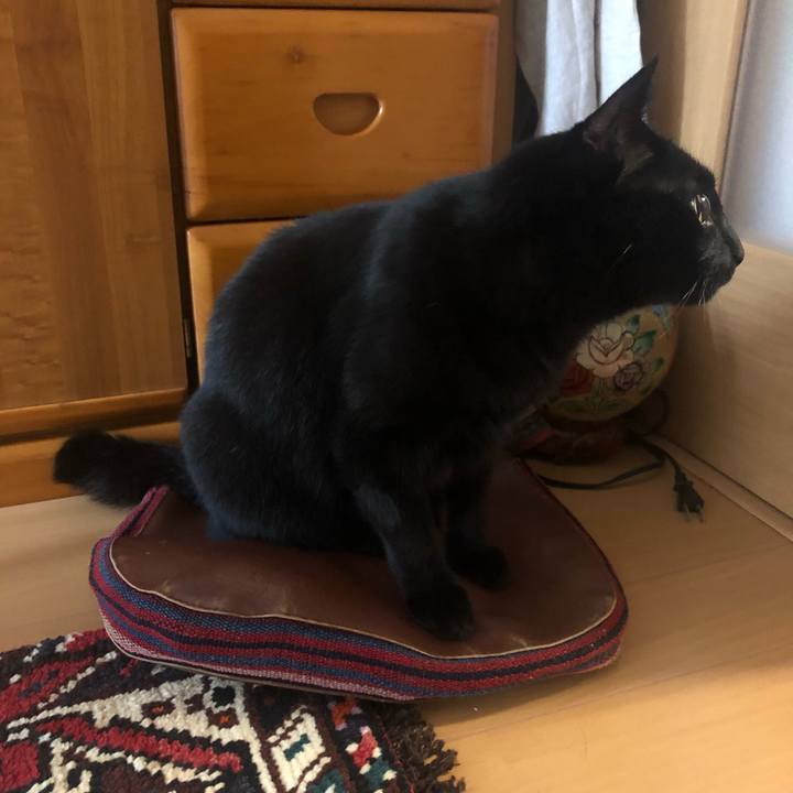 B6193f46 b338 4647 b41c baeff7f51619 1560583934968