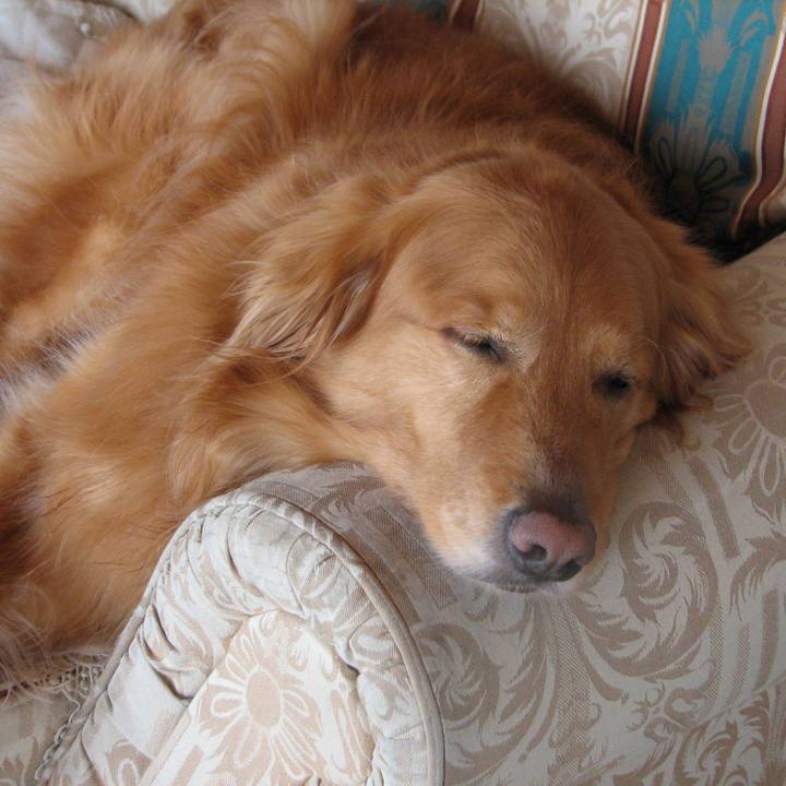 B619436a d1e3 4799 9d55 25f087264a2c 1526386239074