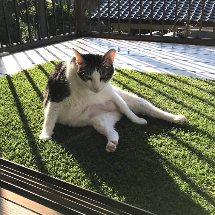 B6194a89 be9a 4d39 af93 b76f6fa3ff53 1538953903897