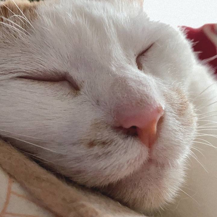 B61974c2 6d81 4688 9005 953c9a24f00e 1589059424855