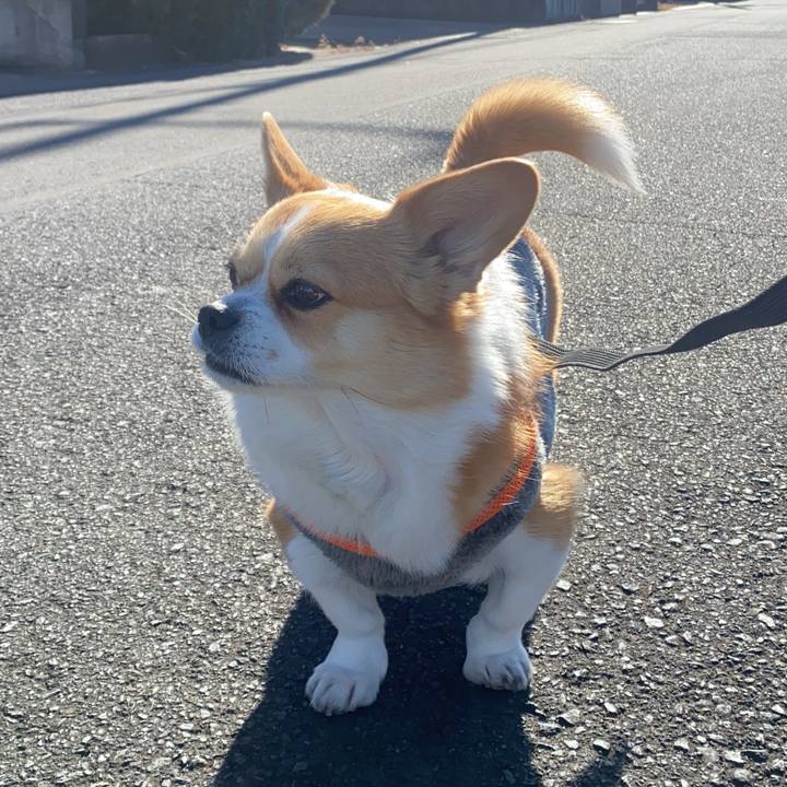 B6198264 6fac 4658 bcb9 ed0bf2383888 1737087153771