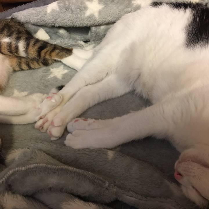 B6198c3f f407 4052 ba69 3e6185e65733 1551494006525