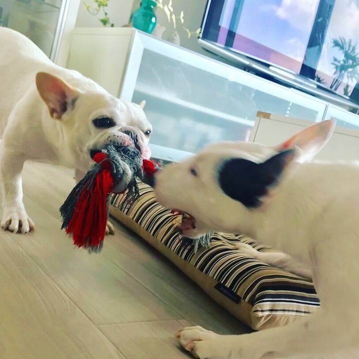 B619e730 c80a 4cd0 9416 bd25ed3fb0f3 1532052567440