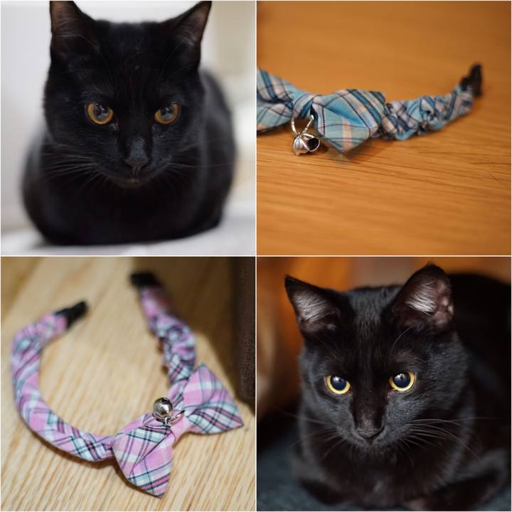 B61a0577 b7f1 463c 9e00 ec09e7ce995c 1518097416191