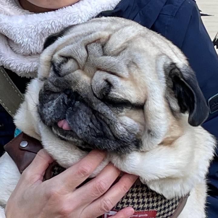 B61a28cb 3f5f 410d 9032 f8ba9df87b2b 1704629604373