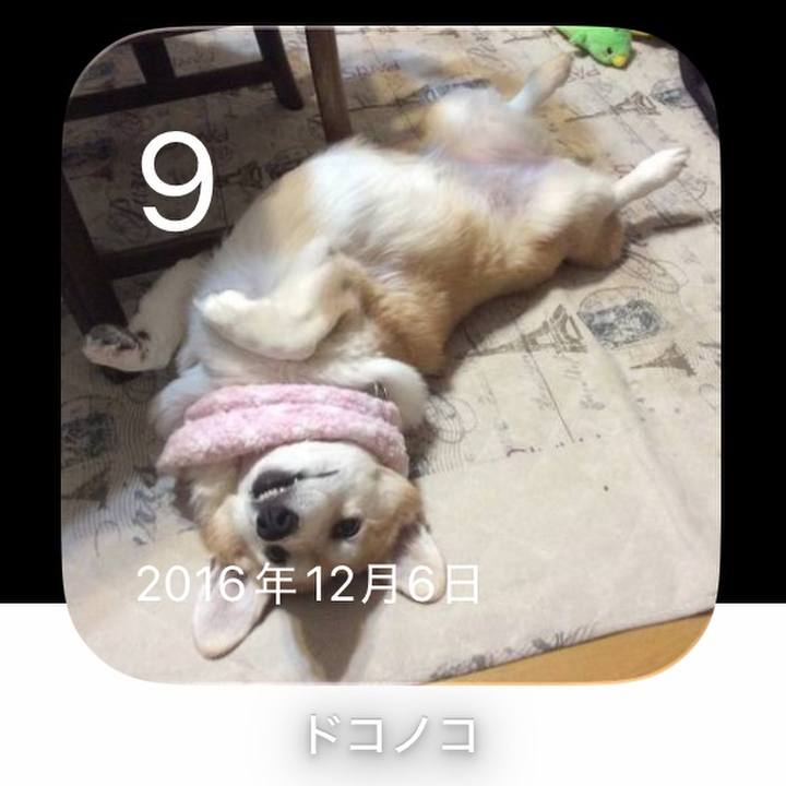 B61a306a 0824 48f7 ade7 3b873a8b3f91 1765235977078