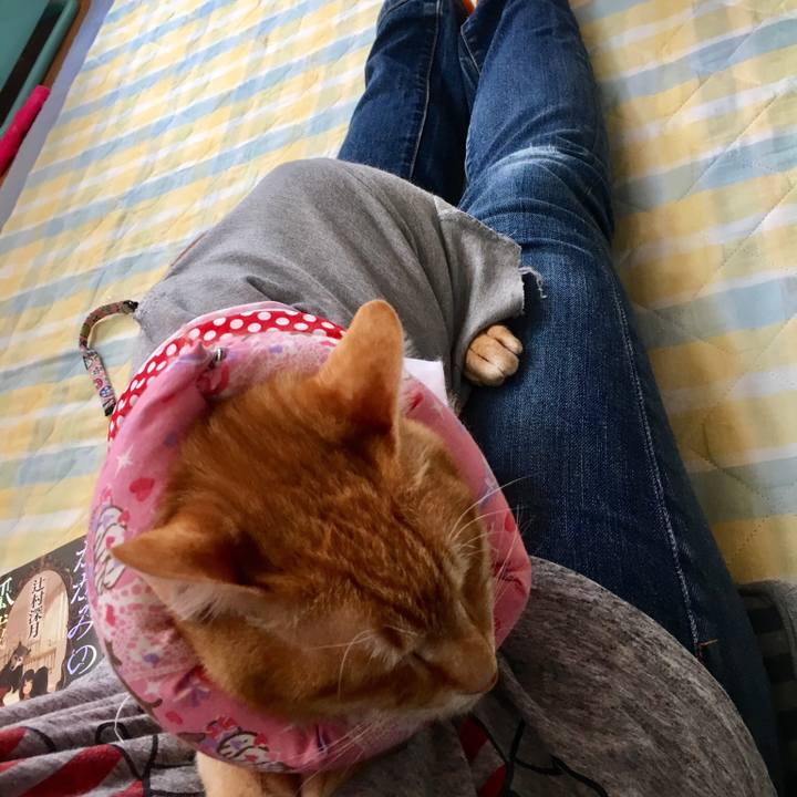 B61a3a09 806d 40df a6c4 7c87884108f3 1527986268372