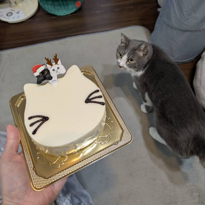 B61a619e 967a 4a32 85a3 3963cb759011 1766657955764