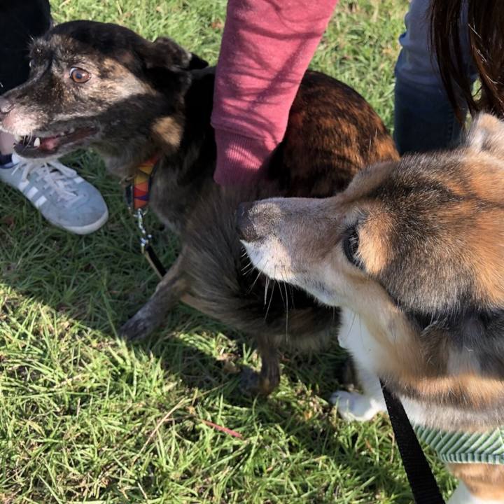 B61a7a3e d03a 4096 8f42 100ccf7de107 1509176456949