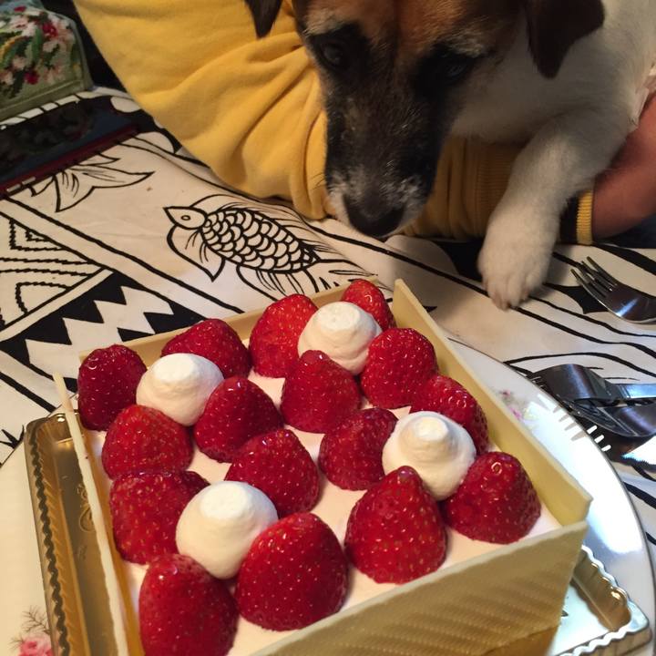 B61a8b53 7b1a 42bd 88ca 677dc2201828 1545566332595