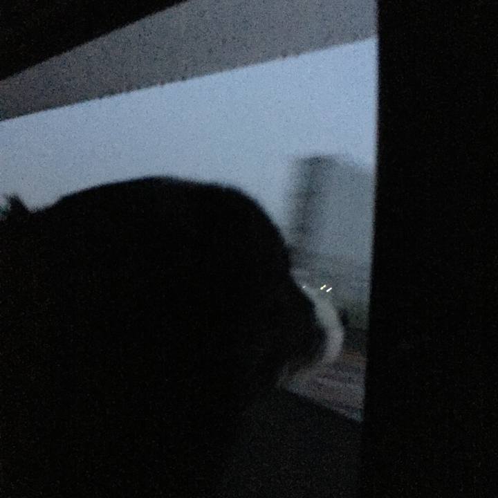 B61ac08e 890e 4ec2 978d 6f08b510cd74 1579730471860