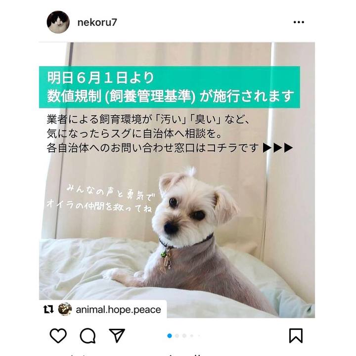 B61ad3b6 b403 45d5 89e3 a3c96d60d0e2 1622455794548