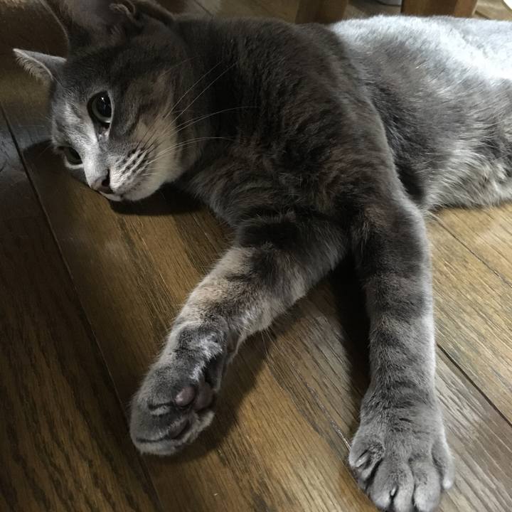 B61b0985 ef65 481a a9a0 5c40c82caa3e 1512912265174