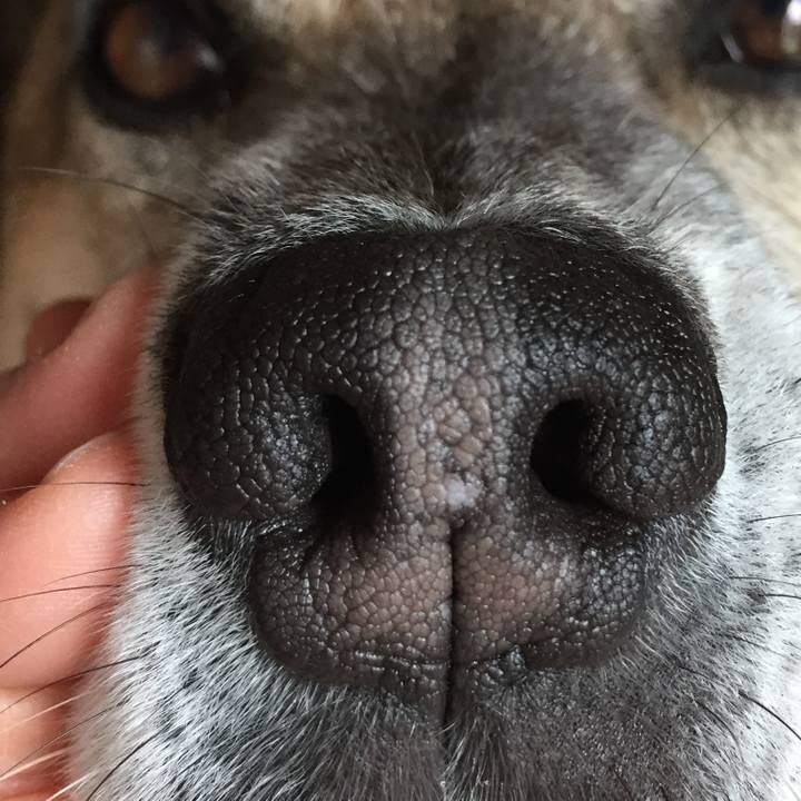 B61b10c1 6d88 49a6 87a1 9bd84d27cc34 1523495559508