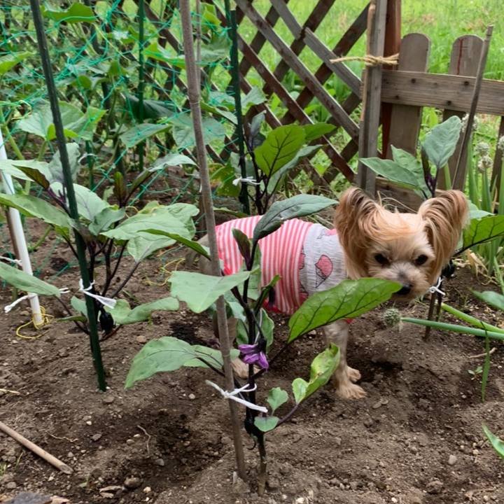 B61b14ff 6830 4d4f a111 1aa5c1f4b9a7 1624872840035