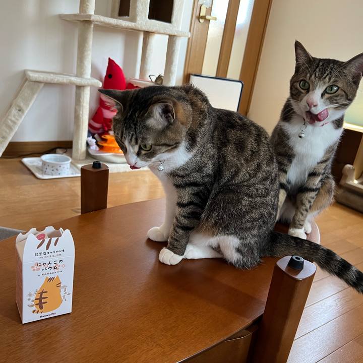 B61b216b 128c 4e89 addf 90f5bf640be3 1719036481850