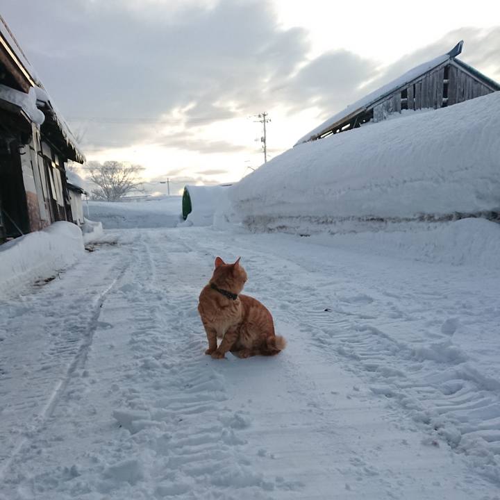 B61b2744 d62b 4aaf ba5c e9b458d5a6cf 1643664996061