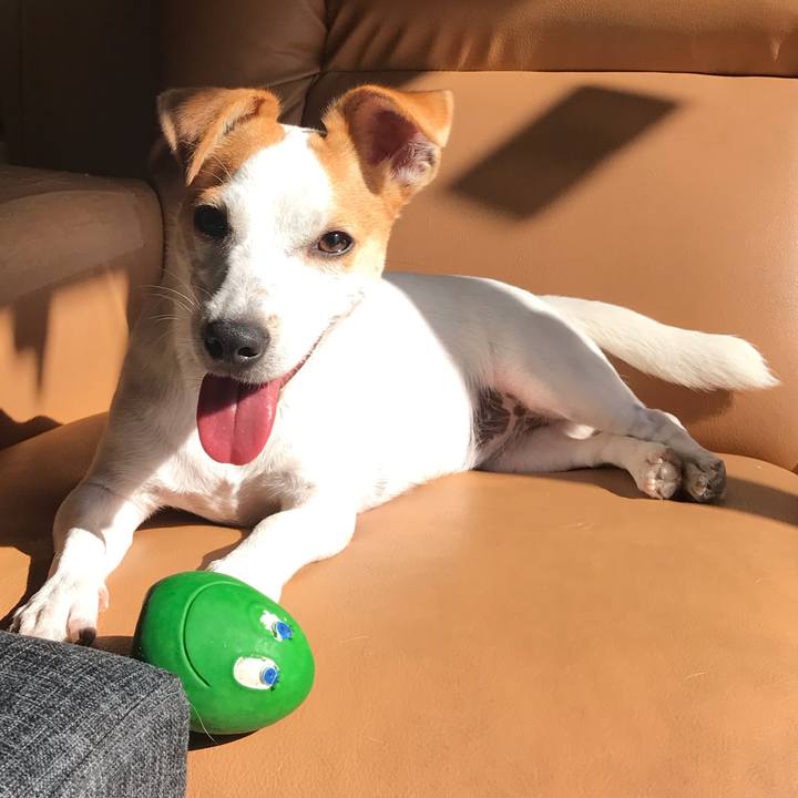 B61b3d22 2d49 4545 9140 32c84c9cd992 1574129910067