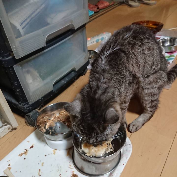 B61b4391 5833 4f4f b800 5a3ef3ca14af 1597576013576