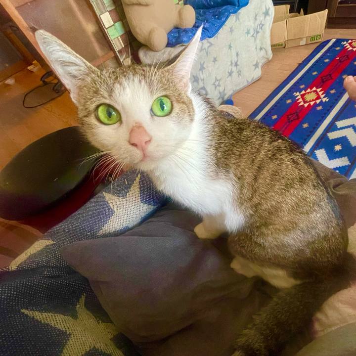 B61b497b ca22 4cea b82d 439c92d531fc 1630804512126