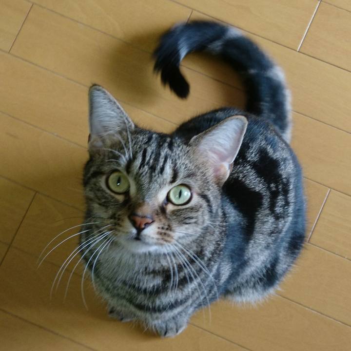 B61b50ba 2c91 4c0c 90e5 2f9e68a2715f 1510485950536