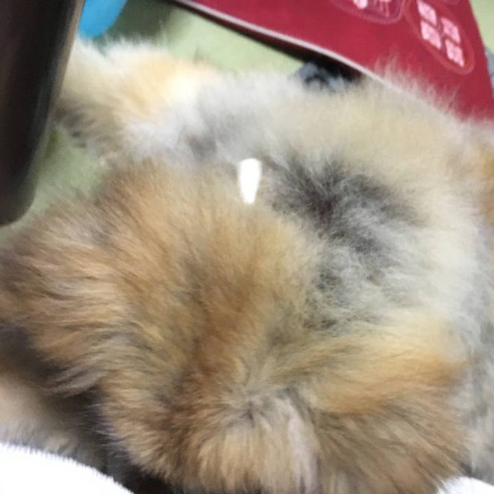 B61b5d03 5df2 4aca 965a dc152f65a9fa 1610831953615