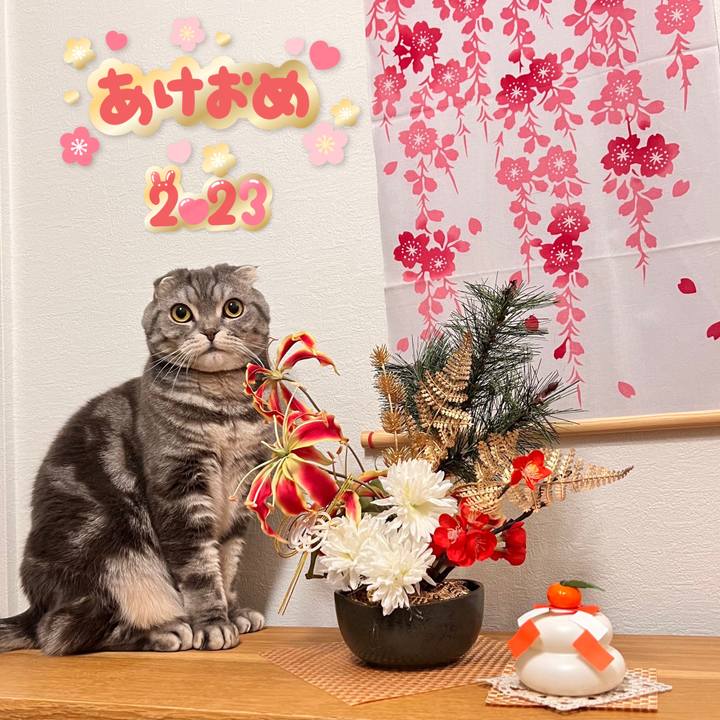 B61b8437 d848 4066 bc17 975ac1b42f27 1672727120039