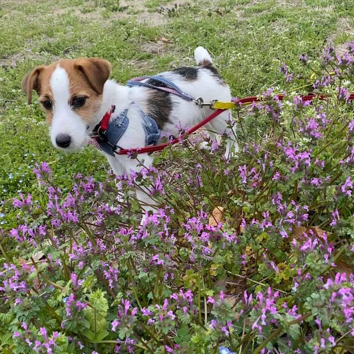 B61b88b6 962b 4d21 a87f 8eaa2da3f7aa 1616227600743