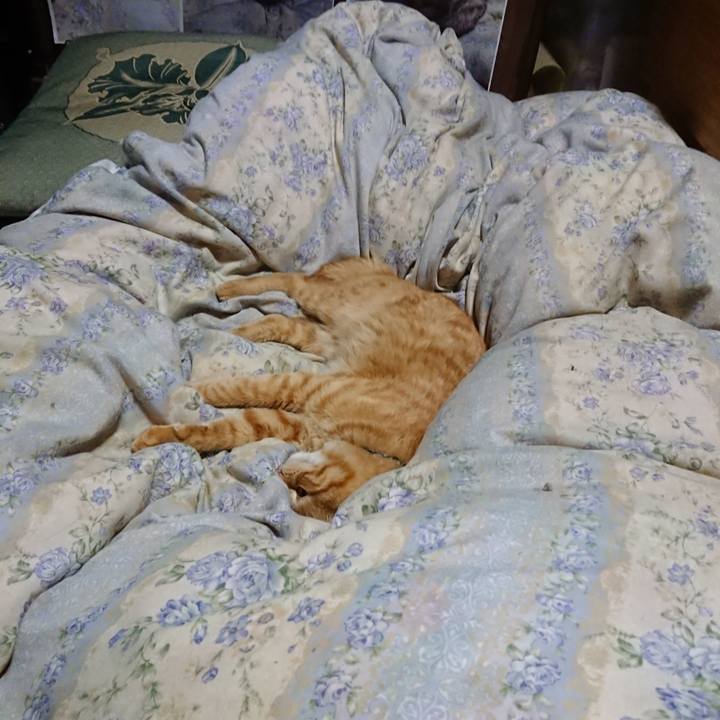 B61b9c6c e2b5 4e4c 876c 94435ec39688 1660738978402