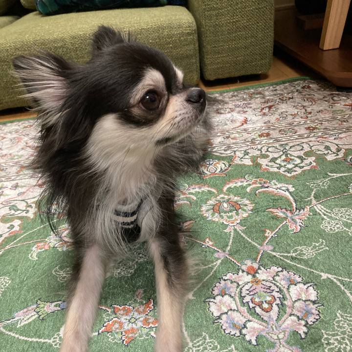 B61c51fb 7e66 4dc9 a985 34e76d74072d 1667055311013