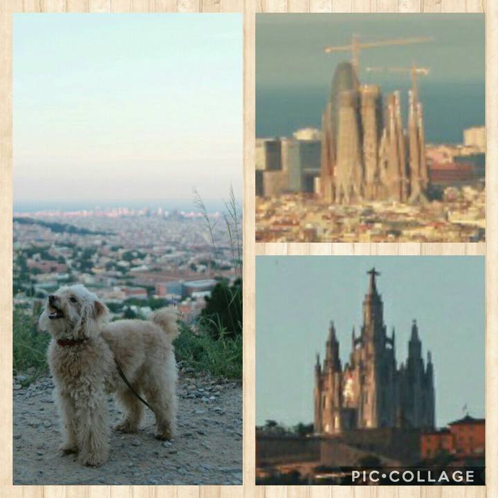 B61c5475 04fc 491a ae8f a79d92bb0125 1590341780501