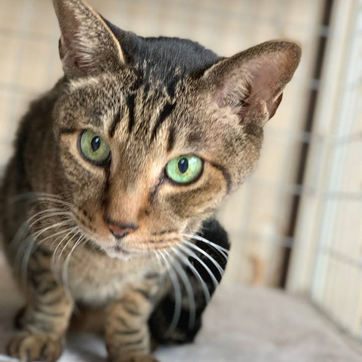 B61c8080 8612 4049 ba14 4c32ab5712d9 1577755155520