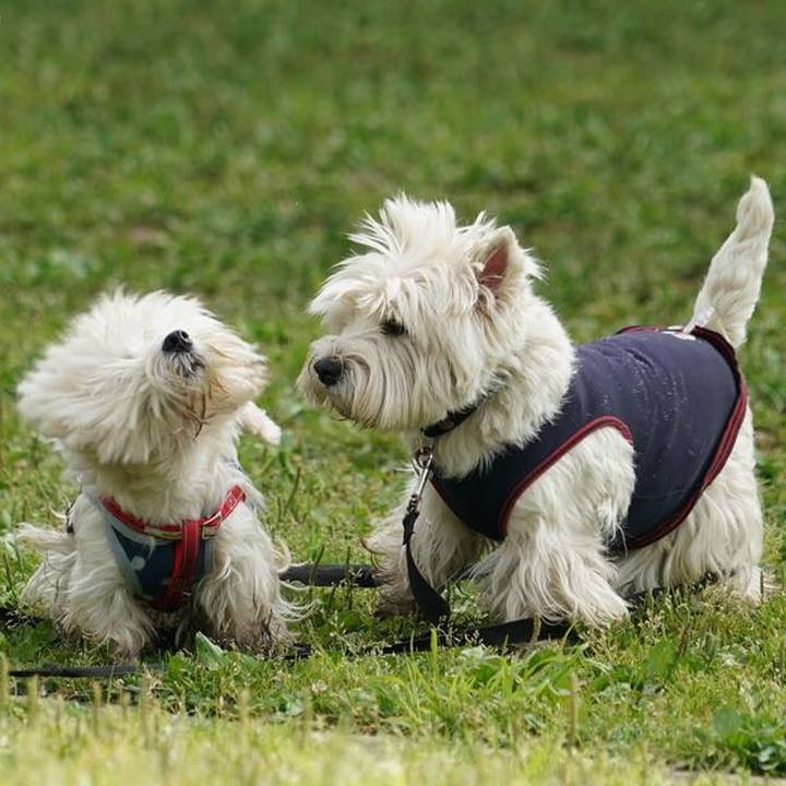 B61ca2ef 107e 4cb3 ae4e 813884b7124f 1527079557402