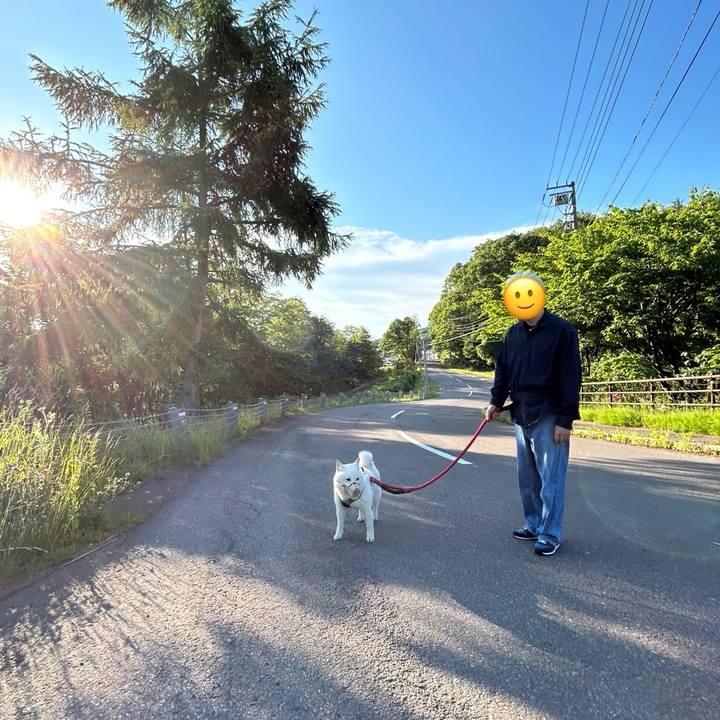 B61cbe27 7de8 495d 8656 2cf6c0dd4e7b 1750712940306