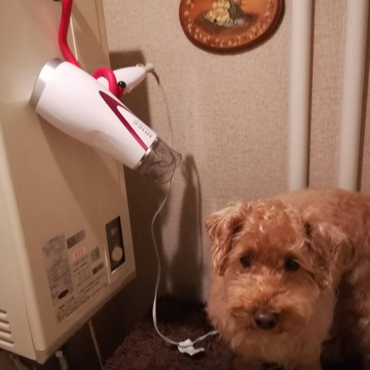 B61cfec6 e02d 4253 bedd b2e860bd6508 1531090208040