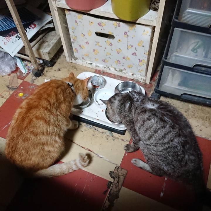 B61d2265 e5c7 46b1 b99c ee225827eb92 1595761758806