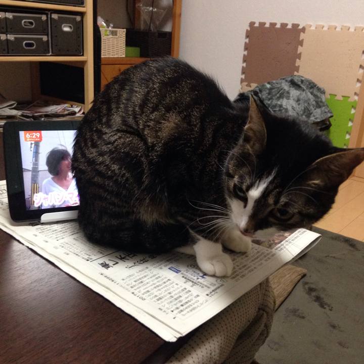 B61d2bf9 c7bc 43f7 9142 a1732bf6370a 1512055933408