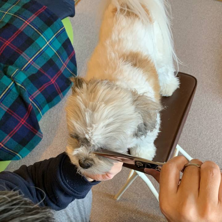 B61d8938 9b7f 42bf 91d5 dfc27aca34c9 1587182274790