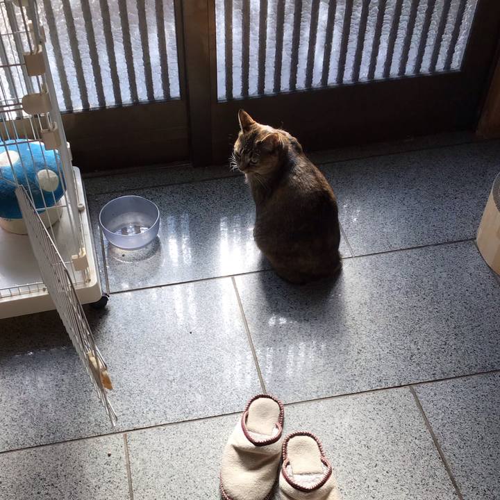 B61d92c1 aabd 4963 a5da f32a7afb640e 1736056360585