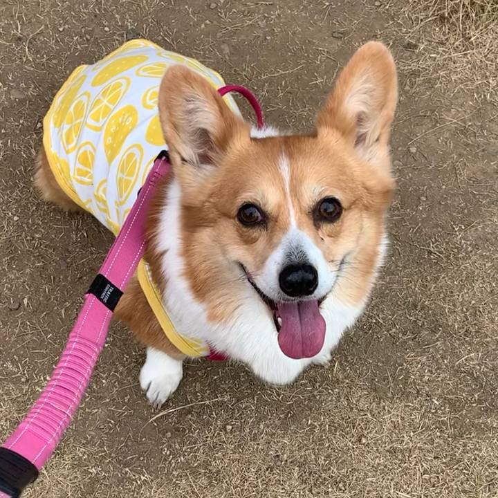 B61ddbd0 b315 4b1e ac00 86cbab584550 1646127729777