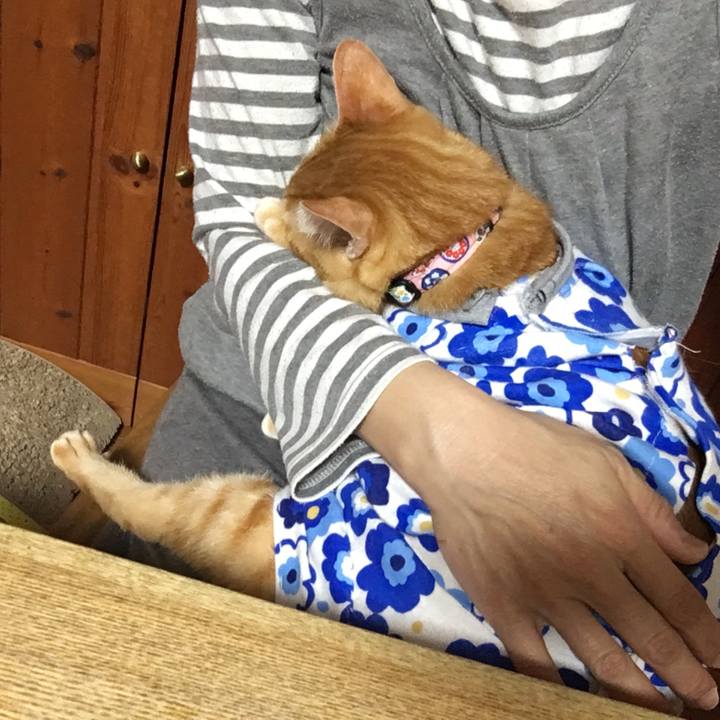 B61e0b0c 7c95 410e ad51 9fc11cda47b1 1522940762611