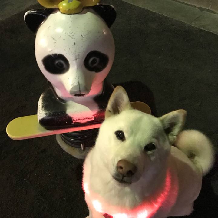 B61e3cde 3f91 45ef 9311 2ac30a85b4a4 1513771457797